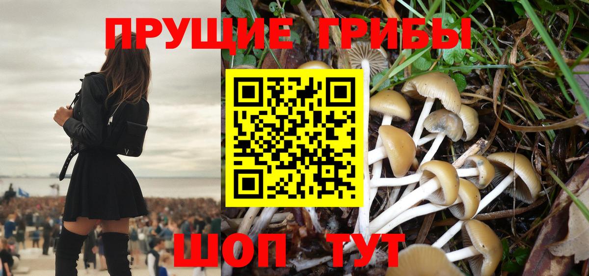 Галлюциногенные грибы GOLDEN TEACHER  Галлюциногенные грибы Psilocybe  Приморско-Ахтарск  Вход с VPN 